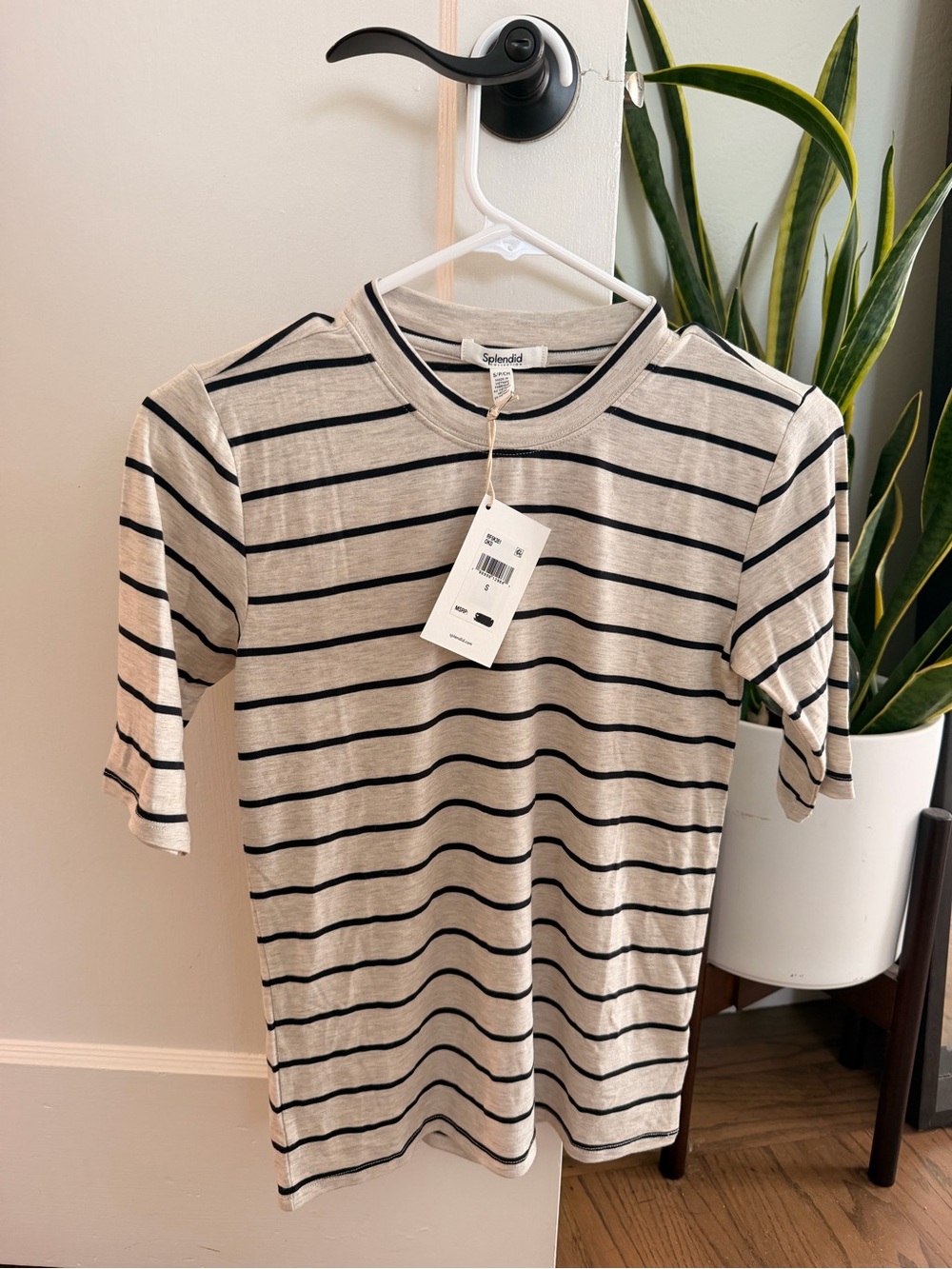Splendid Women’s Cream/Grey with Black Stripes Short Sleeve Crewneck